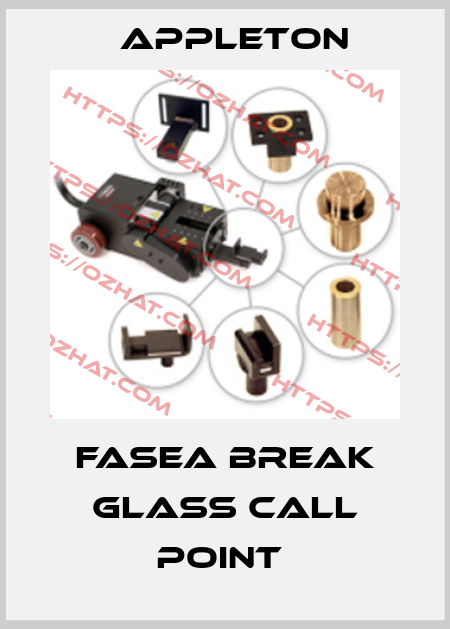 FASEA Break Glass Call Point  Appleton