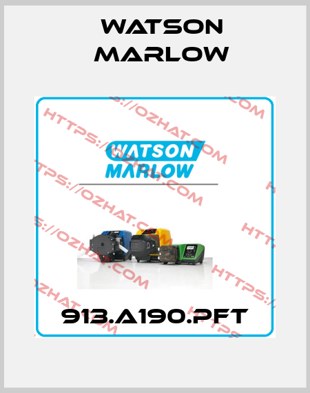 913.A190.PFT Watson Marlow