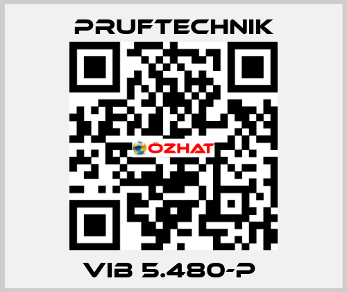 VIB 5.480-P  Pruftechnik