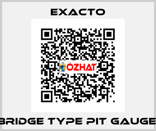 Bridge Type Pit Gauge  Exacto