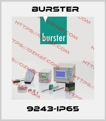 9243-IP65 Burster