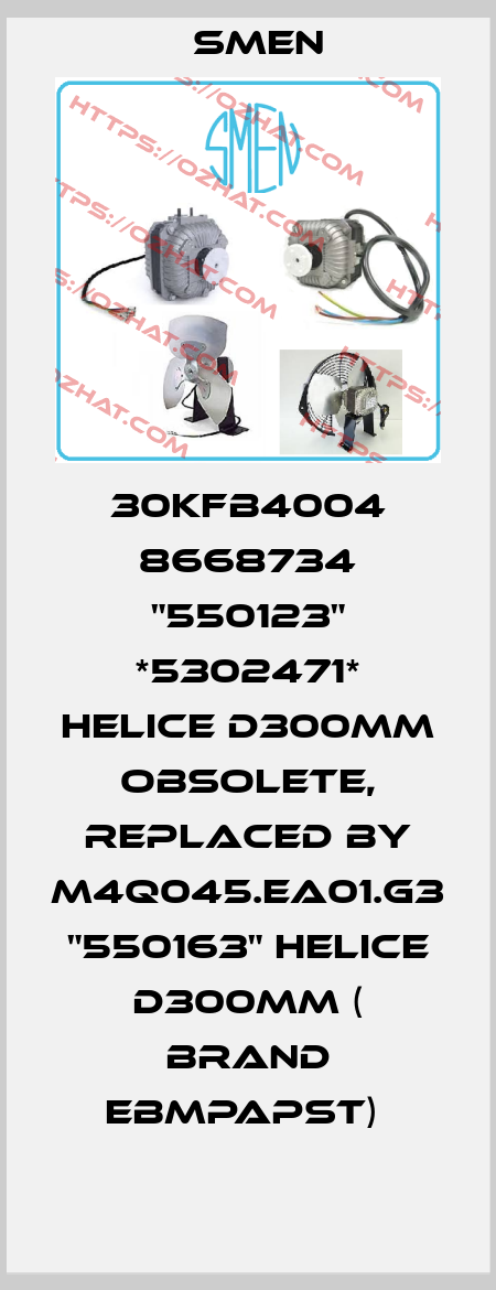 30KFB4004 8668734 "550123" *5302471* HELICE D300MM obsolete, replaced by M4Q045.EA01.G3 "550163" HELICE D300MM ( brand EBMpapst)  Smen