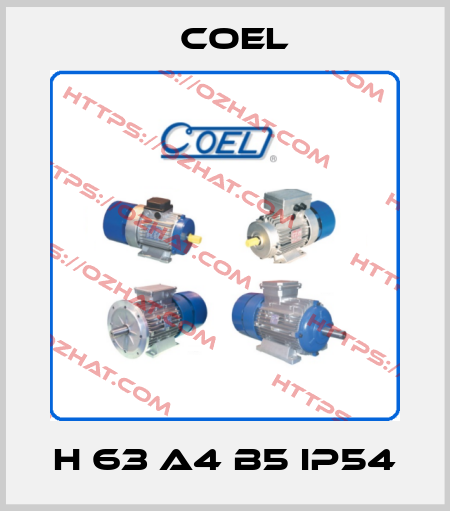 H 63 A4 B5 IP54 Coel