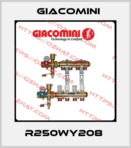 R250WY208  Giacomini