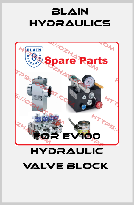 for EV100 Hydraulic Valve Block  Blain Hydraulics