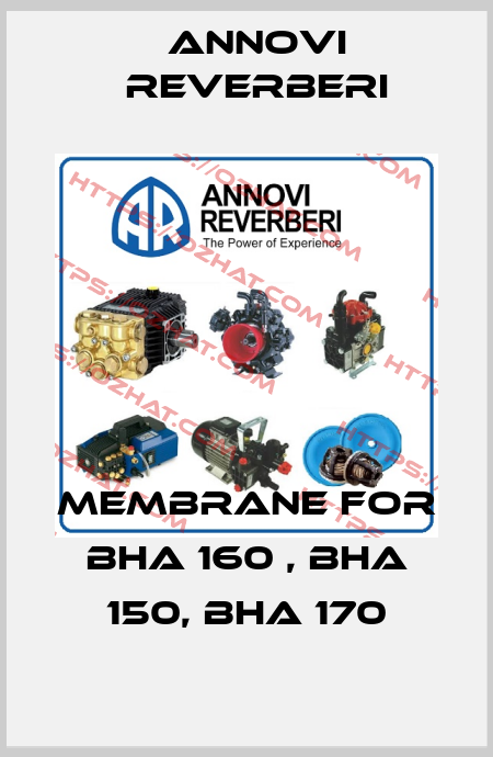 Membrane For BHA 160 , BHA 150, BHA 170 Annovi Reverberi
