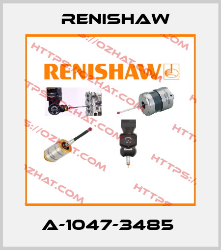 A-1047-3485  Renishaw