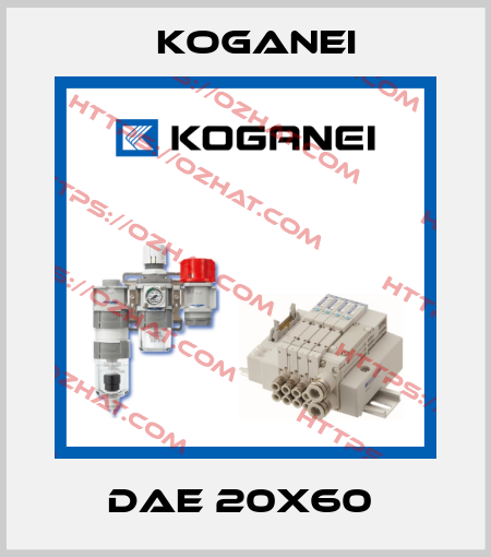 DAE 20X60  Koganei