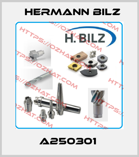 A250301  Hermann Bilz
