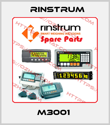 M3001  Rinstrum