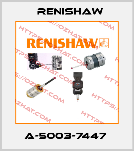A-5003-7447  Renishaw