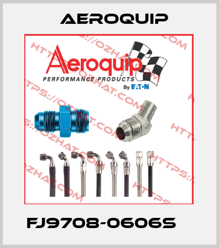 FJ9708-0606S    Aeroquip