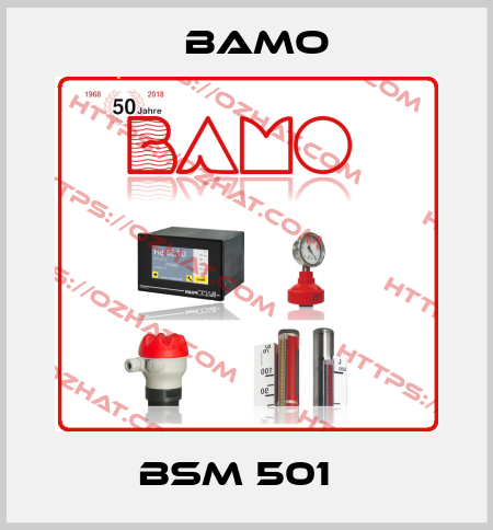 BSM 501   Bamo