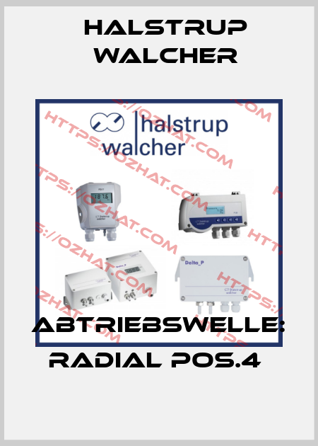 ABTRIEBSWELLE: RADIAL POS.4  Halstrup Walcher