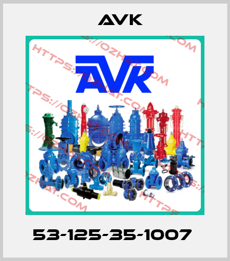 53-125-35-1007  AVK