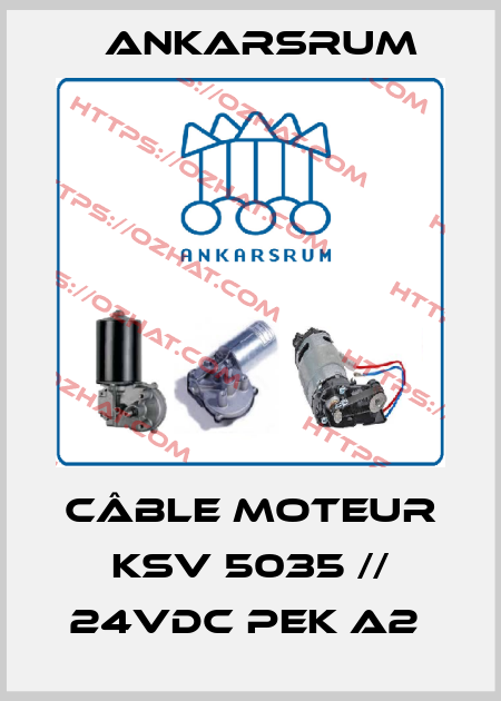 Câble moteur KSV 5035 // 24VDC PEK A2  Ankarsrum