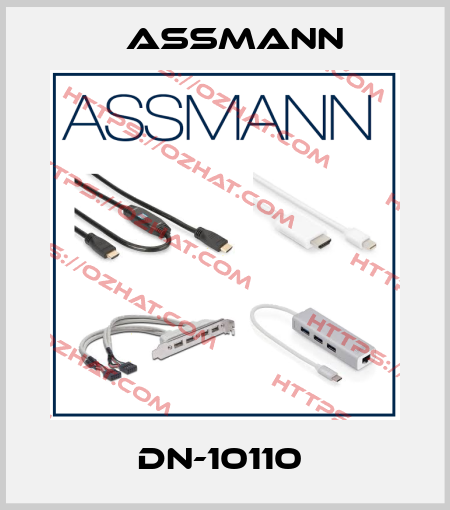 DN-10110  Assmann