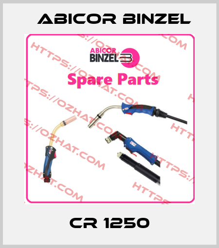 CR 1250 Abicor Binzel