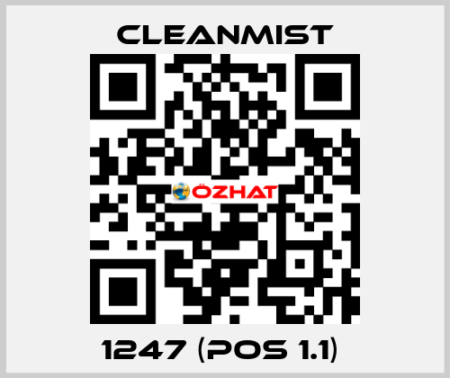 1247 (pos 1.1)  CleanMist