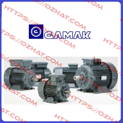 AGM 2E 132 S6  Gamak