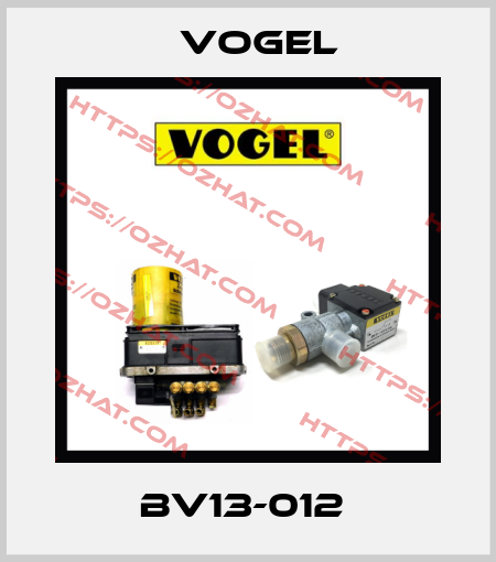 BV13-012  Vogel