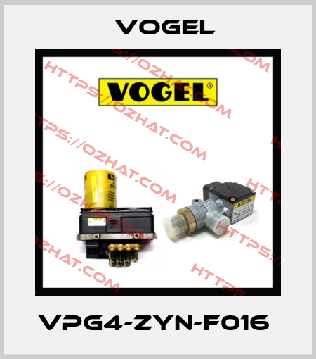 VPG4-ZYN-F016  Vogel
