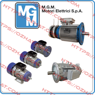 BA 100 LB4 (B5)  M.G.M MOTORI