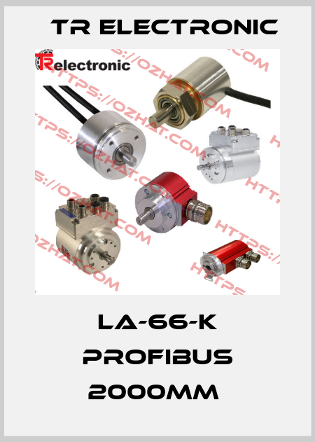 LA-66-K PROFIBUS 2000MM  TR Electronic