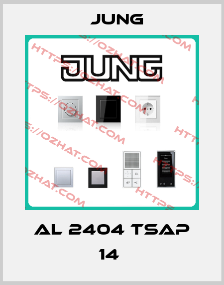 AL 2404 TSAP 14  Jung