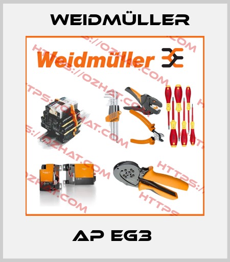 AP EG3  Weidmüller