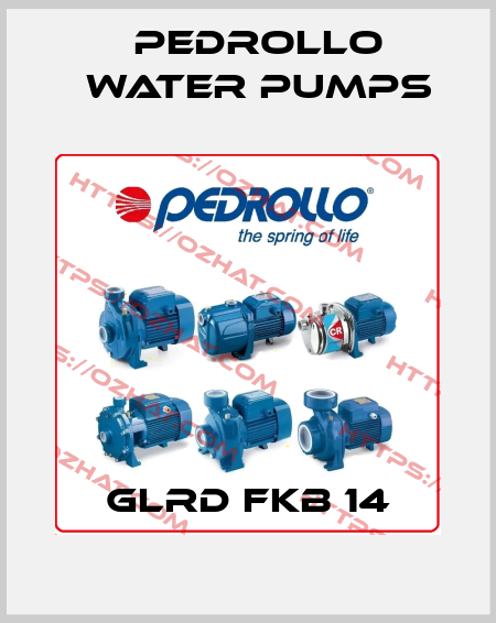 GLRD FKB 14 Pedrollo Water Pumps