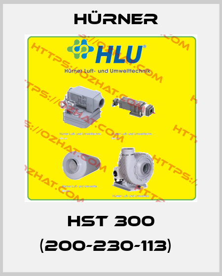 HST 300 (200-230-113)   HÜRNER