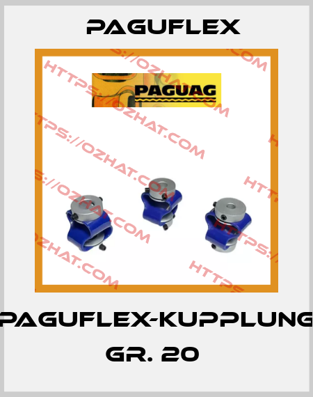 Paguflex-Kupplung Gr. 20  Paguflex