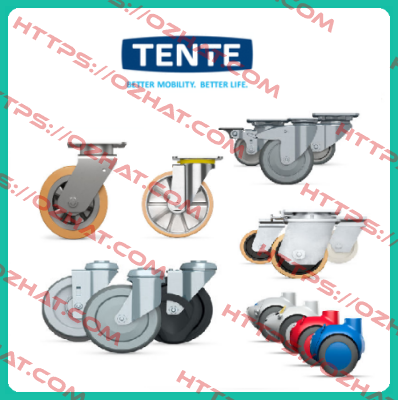 9958FTP150P65 (Teilenummer: 00806805-GS) Tente