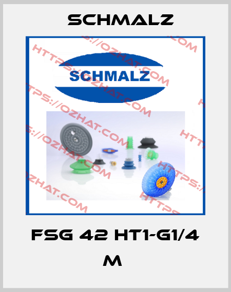 FSG 42 HT1-G1/4 M  Schmalz