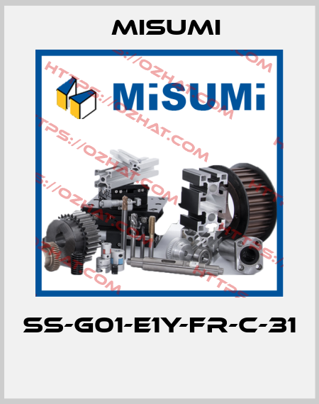 SS-G01-E1Y-FR-C-31  Misumi
