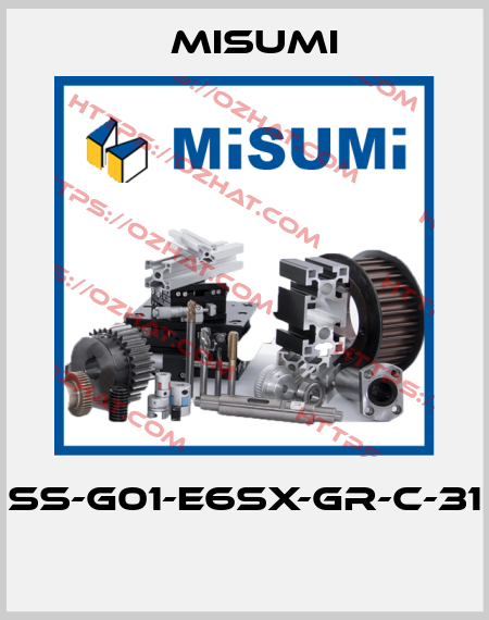 SS-G01-E6SX-GR-C-31  Misumi