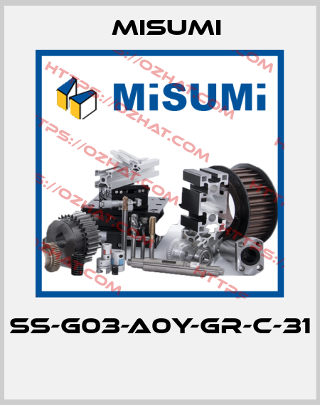 SS-G03-A0Y-GR-C-31  Misumi