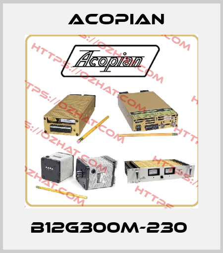 B12G300M-230  Acopian