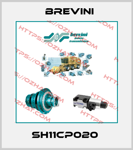 SH11CP020  Brevini