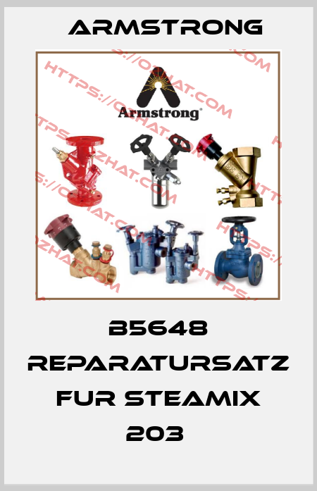 B5648 REPARATURSATZ FUR STEAMIX 203  Armstrong