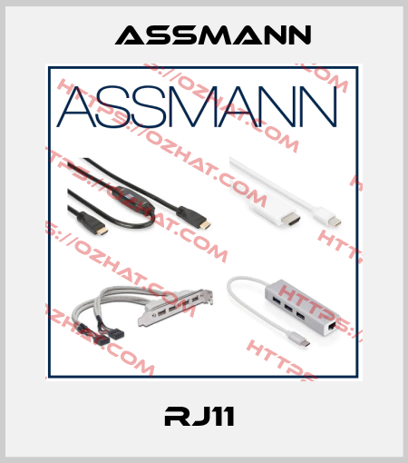 RJ11  Assmann
