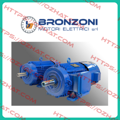 552370  Bronzoni