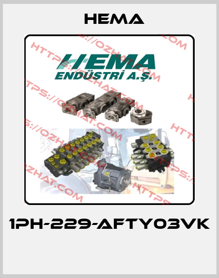 1PH-229-AFTY03VK  Hema