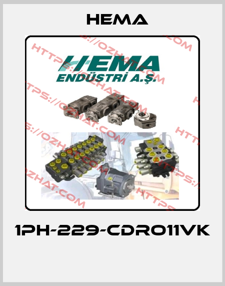 1PH-229-CDRO11VK  Hema