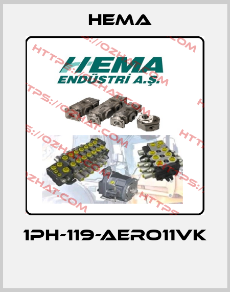 1PH-119-AERO11VK  Hema