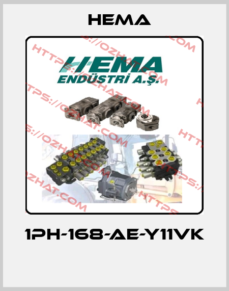 1PH-168-AE-Y11VK  Hema