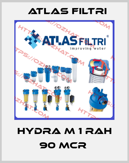 HYDRA M 1 RAH 90 mcr  Atlas Filtri