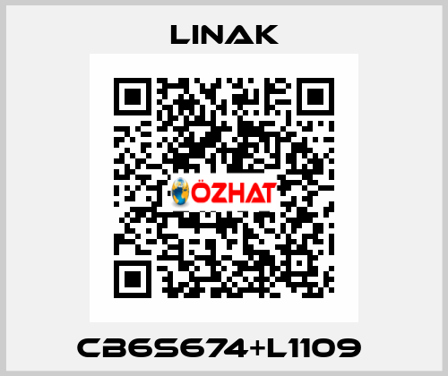 CB6S674+L1109  Linak