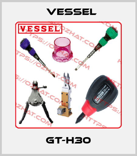 GT-H30 VESSEL